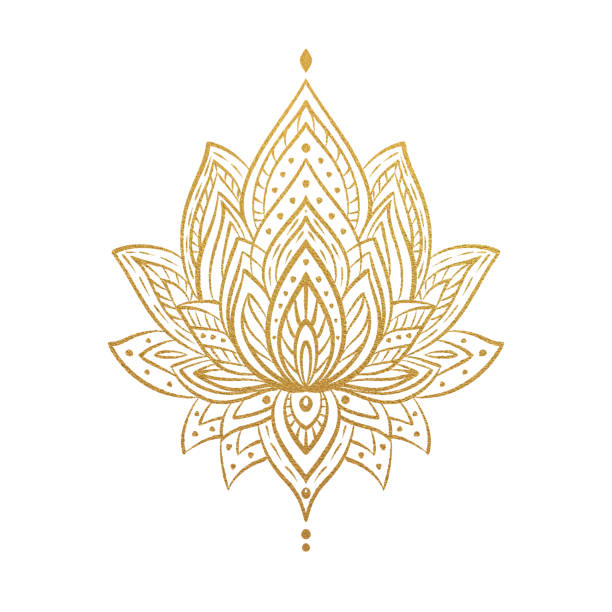 Diospyros  Lotus Mandala